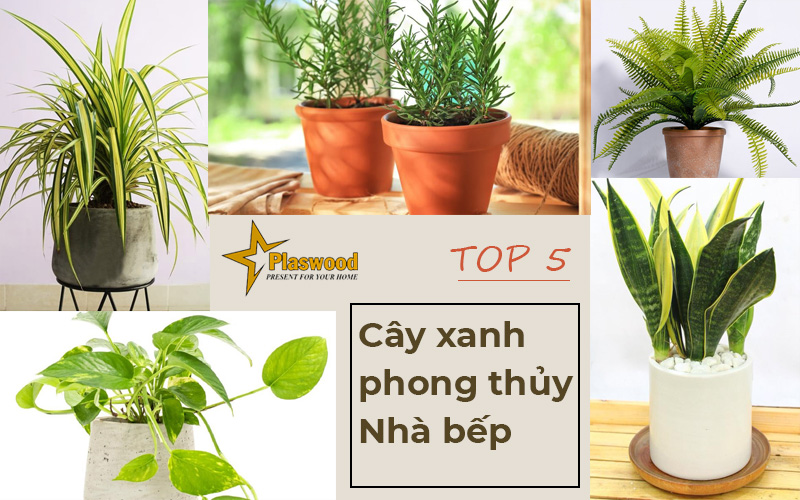 Cây xanh phong thủy nhà bếp